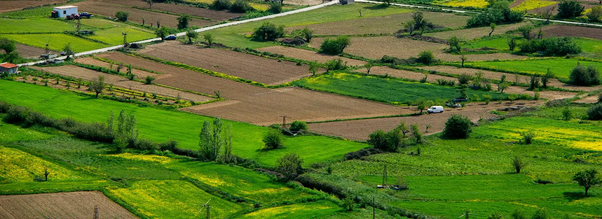 Runwal Plots Dombivli Banner 02 Runwal Plots Dombivli Banner 02